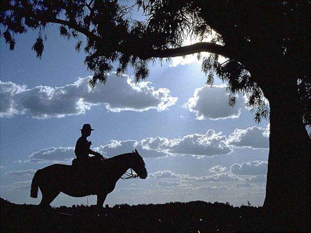 ¿Lo conocés a Ángel?